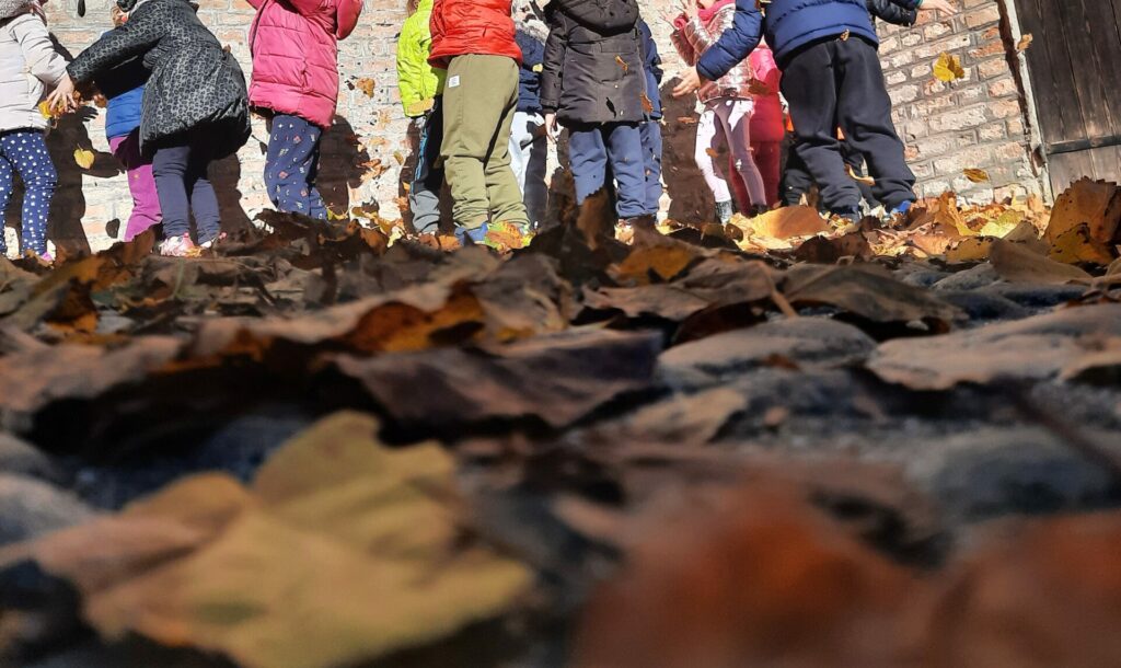 Alla scoperta dell’Autunno